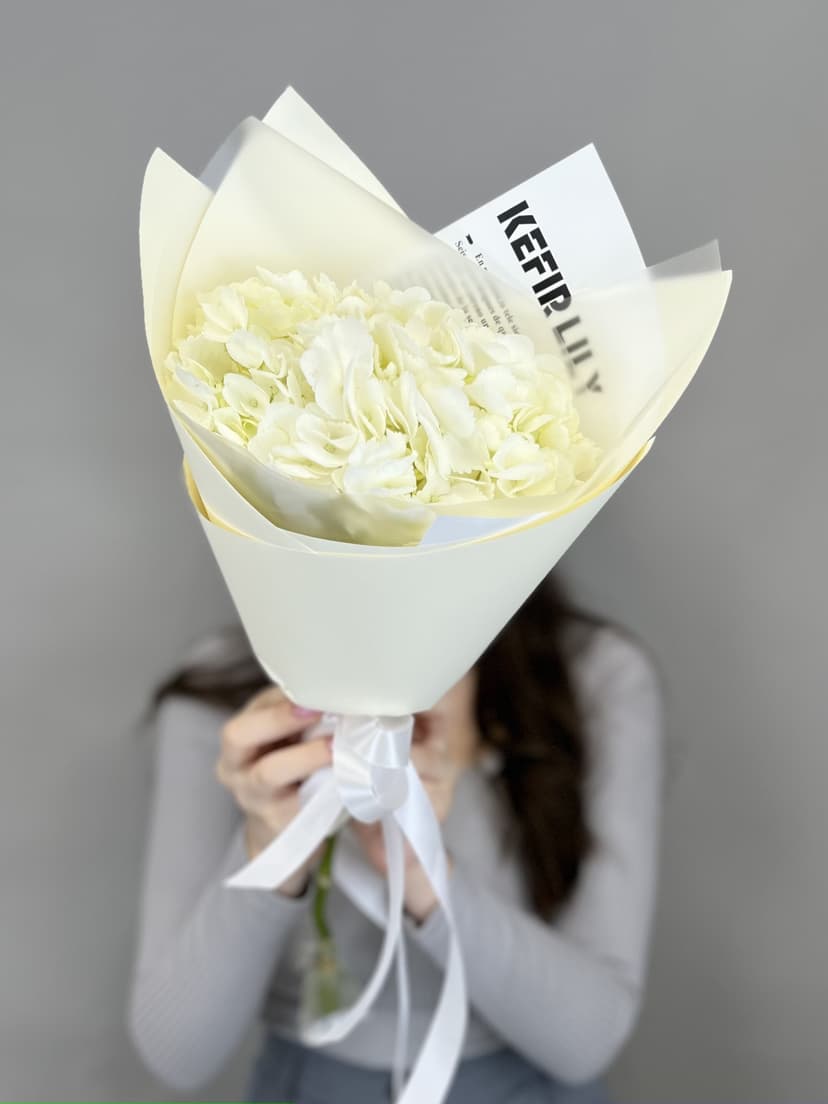 Гортензия Гортензия