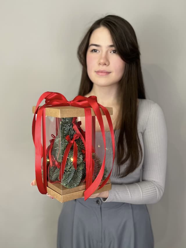 Елка в подарочной упаковке "Красная" S с гирляндой Елка в подарочной упаковке "Красная" S с гирляндой