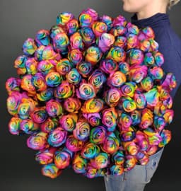 101 Радужная Роза