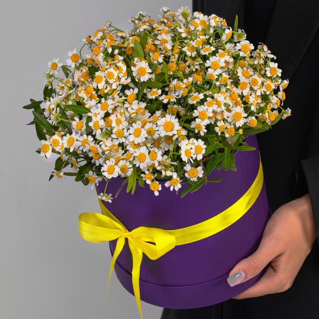 Красивая композиция из 15 кустовых ромашек в шляпной коробке Красивая композиция из 15 кустовых ромашек в шляпной коробке