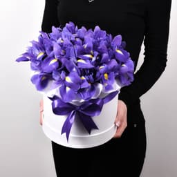 Красочный букет из 27 ирисов в шляпной коробке