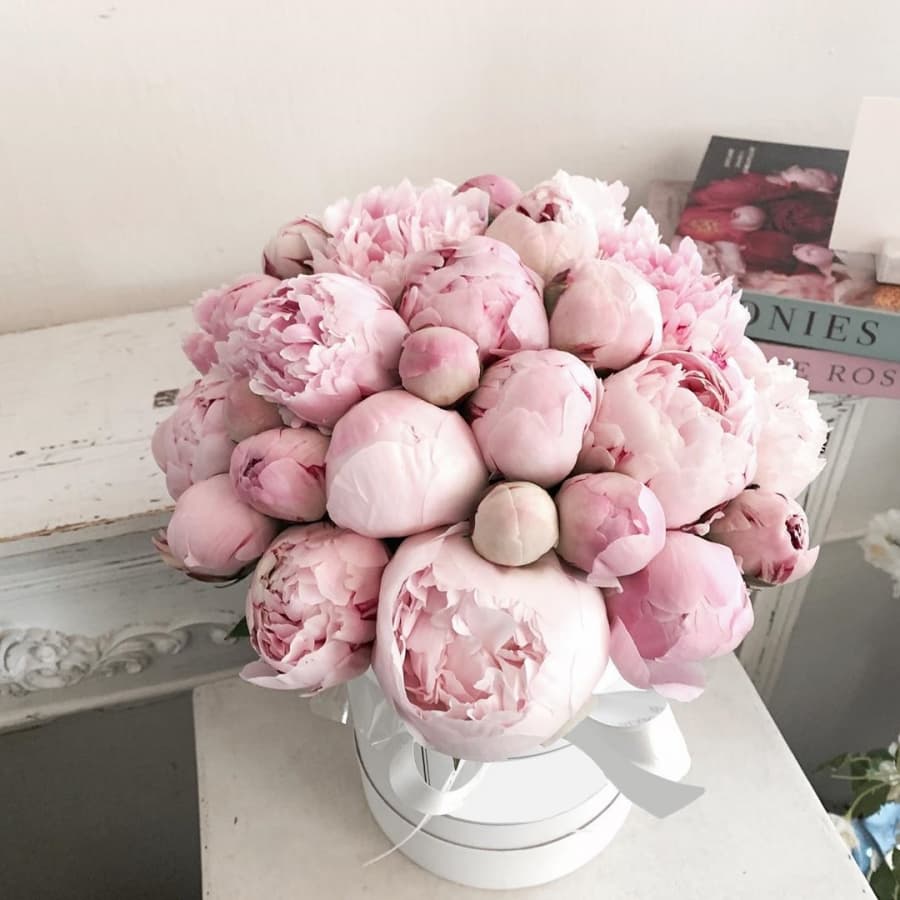 Праздничная композиция из 31 пионов в шляпной коробке (цвет на выбор из ассортимента)