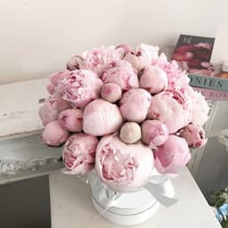 Праздничная композиция из 31 пионов в шляпной коробке (цвет на выбор из ассортимента)