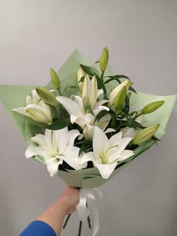 бекет пушкинская 03012152