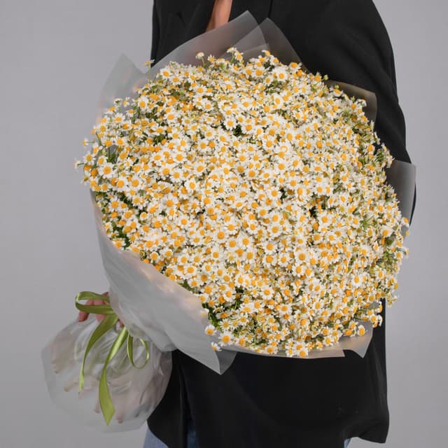 Роскошный букет 101 Кустовая Ромашка Роскошный букет 101 Кустовая Ромашка