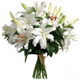 Цветочный букет 11 Лилий в ассортименте