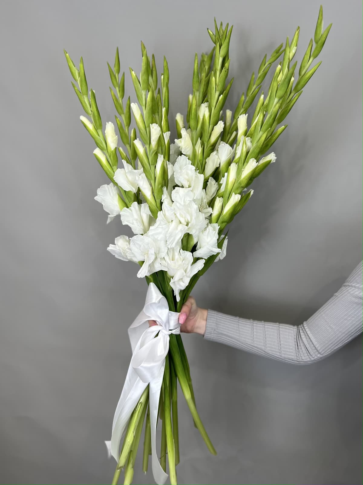 Букет 15 Гладиолусов