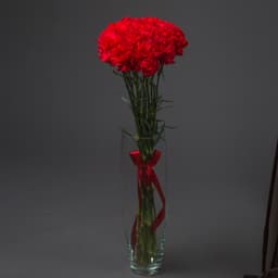 Красочный букет из 15 Красных Гвоздик