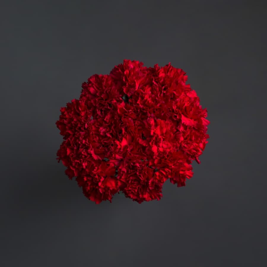 Красочный букет из 15 Красных Гвоздик