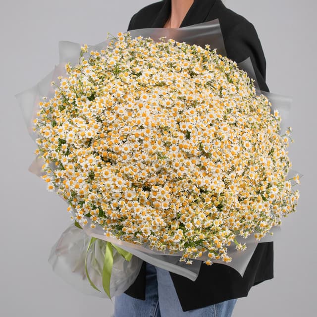 Стильный букет 151 Ромашка Кустовая Стильный букет 151 Ромашка Кустовая
