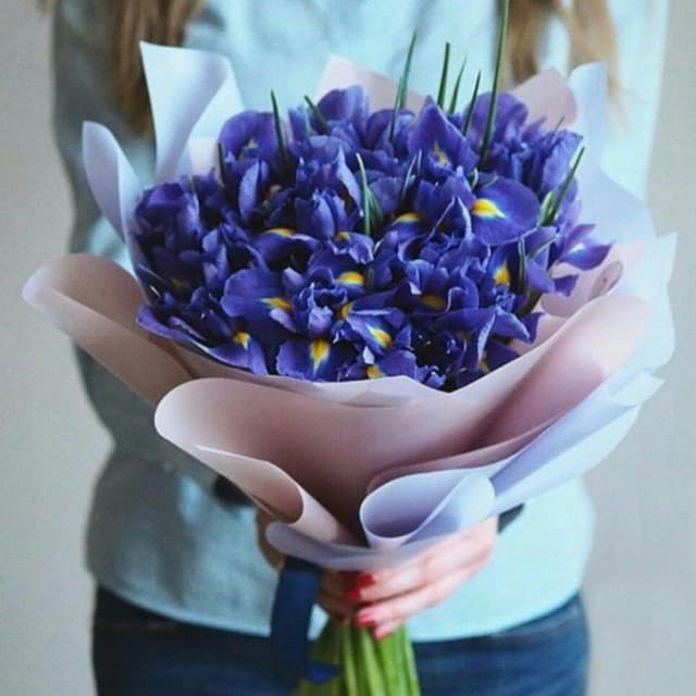 Букет 21 Ирис в матовой бумаге Букет 21 Ирис в матовой бумаге
