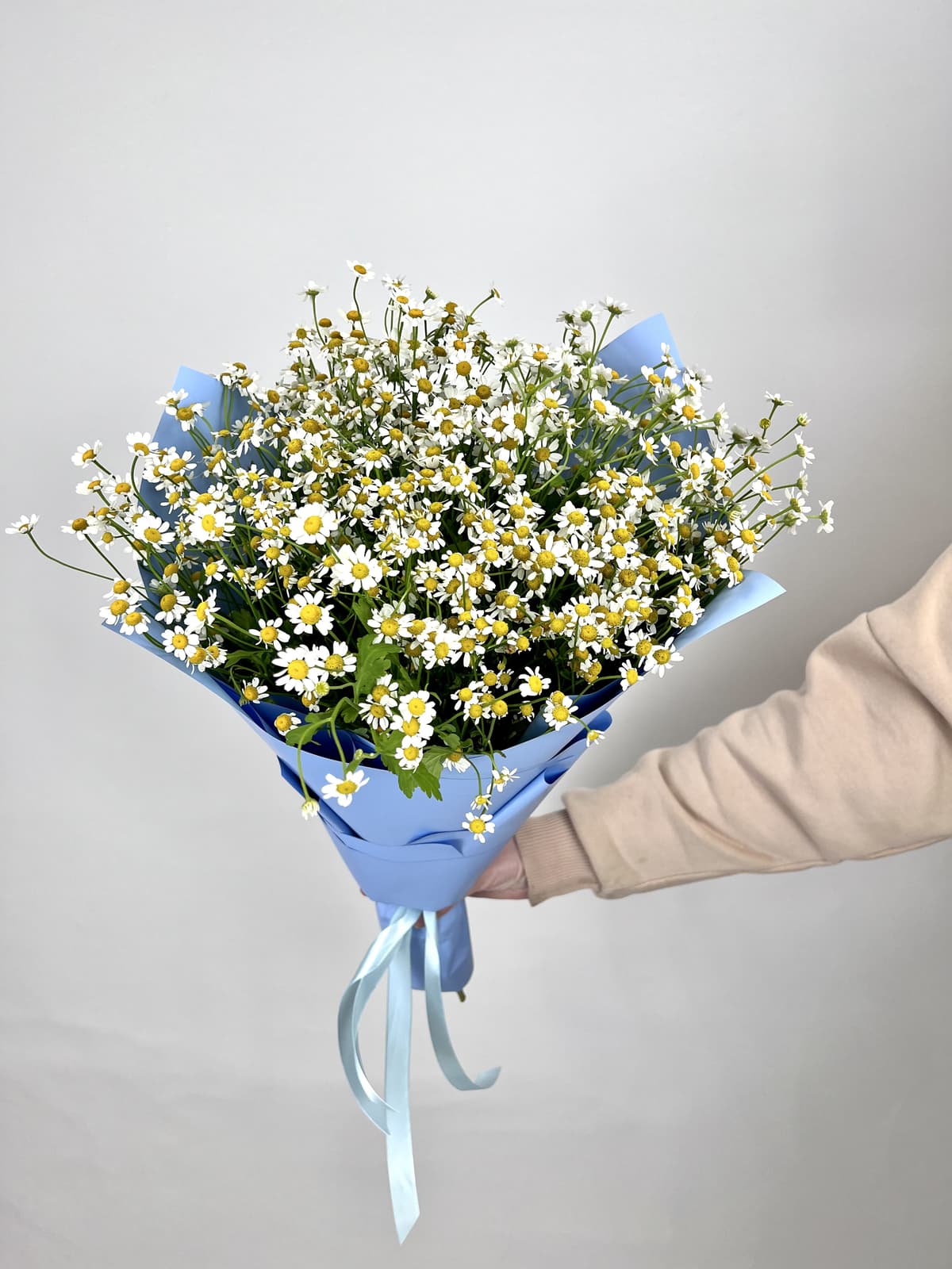 Букет 21 Кустовая Ромашка