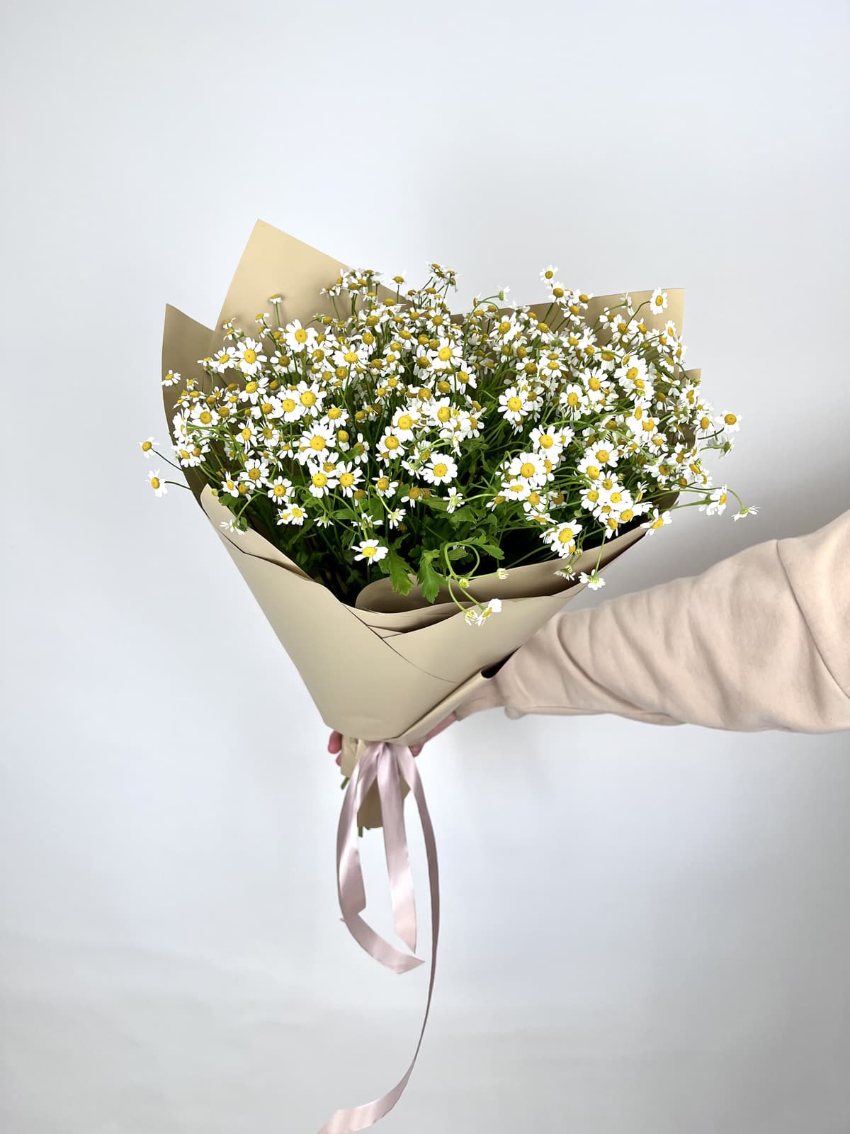 Букет 25 Кустовых Ромашек в матовой бумаге