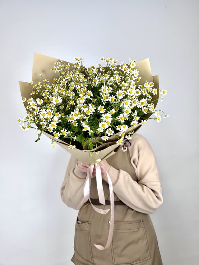 Красивый букет 25 Кустовых Ромашек в матовой бумаге Красивый букет 25 Кустовых Ромашек в матовой бумаге