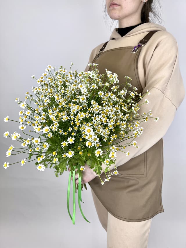 Весенний букет 25 Кустовых Ромашек Весенний букет 25 Кустовых Ромашек