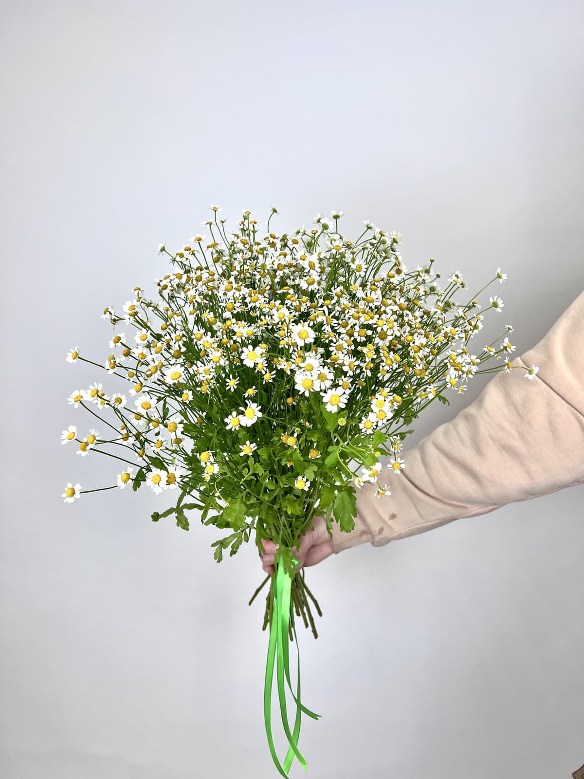 Весенний букет 25 Кустовых Ромашек