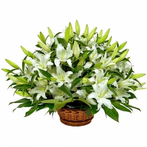 Праздничный букет 25 Лилий в корзине в ассортименте