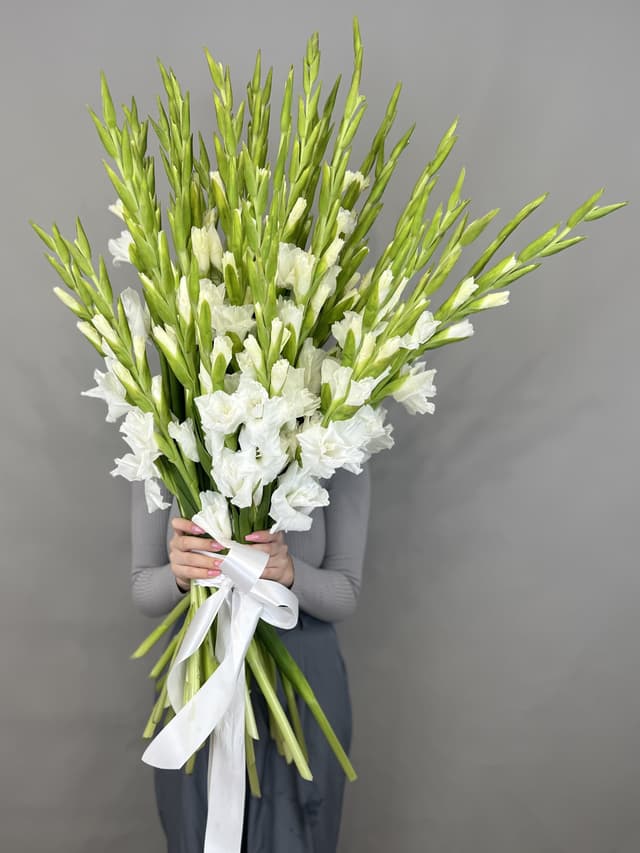 Букет 35 Гладиолусов Букет 35 Гладиолусов