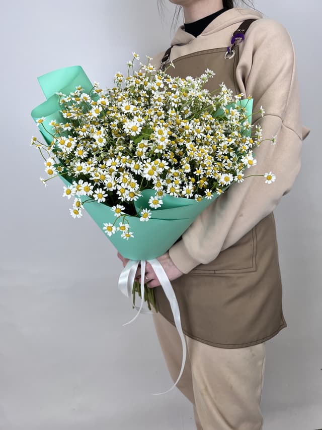 Букет 35 Кустовых Ромашек в матовой бумаге Букет 35 Кустовых Ромашек в матовой бумаге