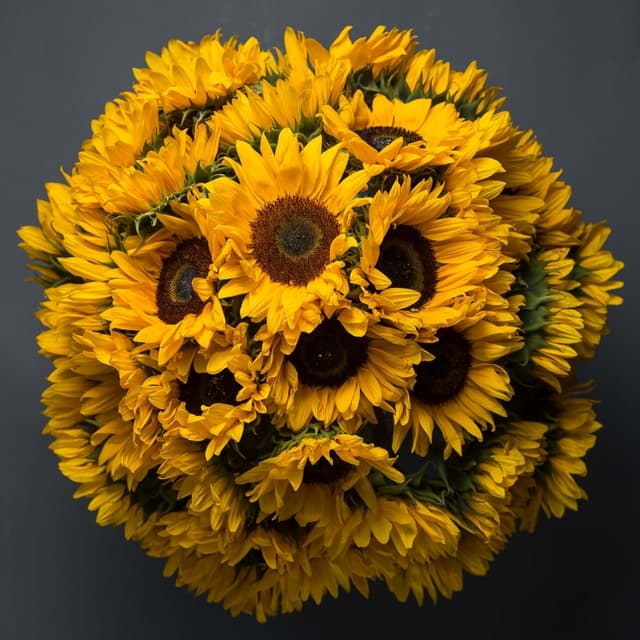 Букет 35 Подсолнухов Букет 35 Подсолнухов
