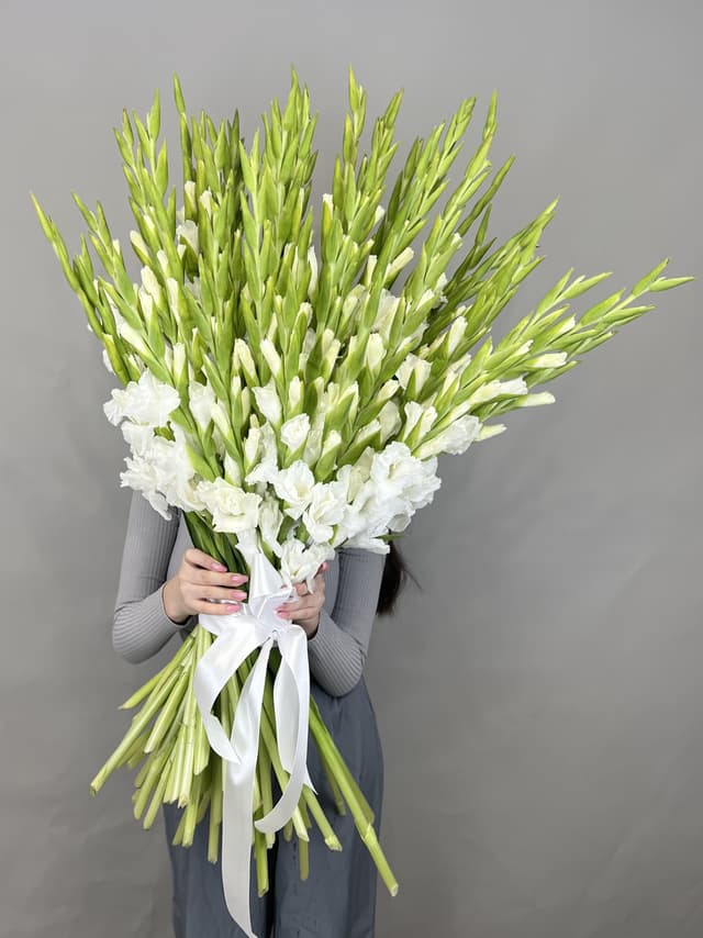 Букет 51 Гладиолус Букет 51 Гладиолус