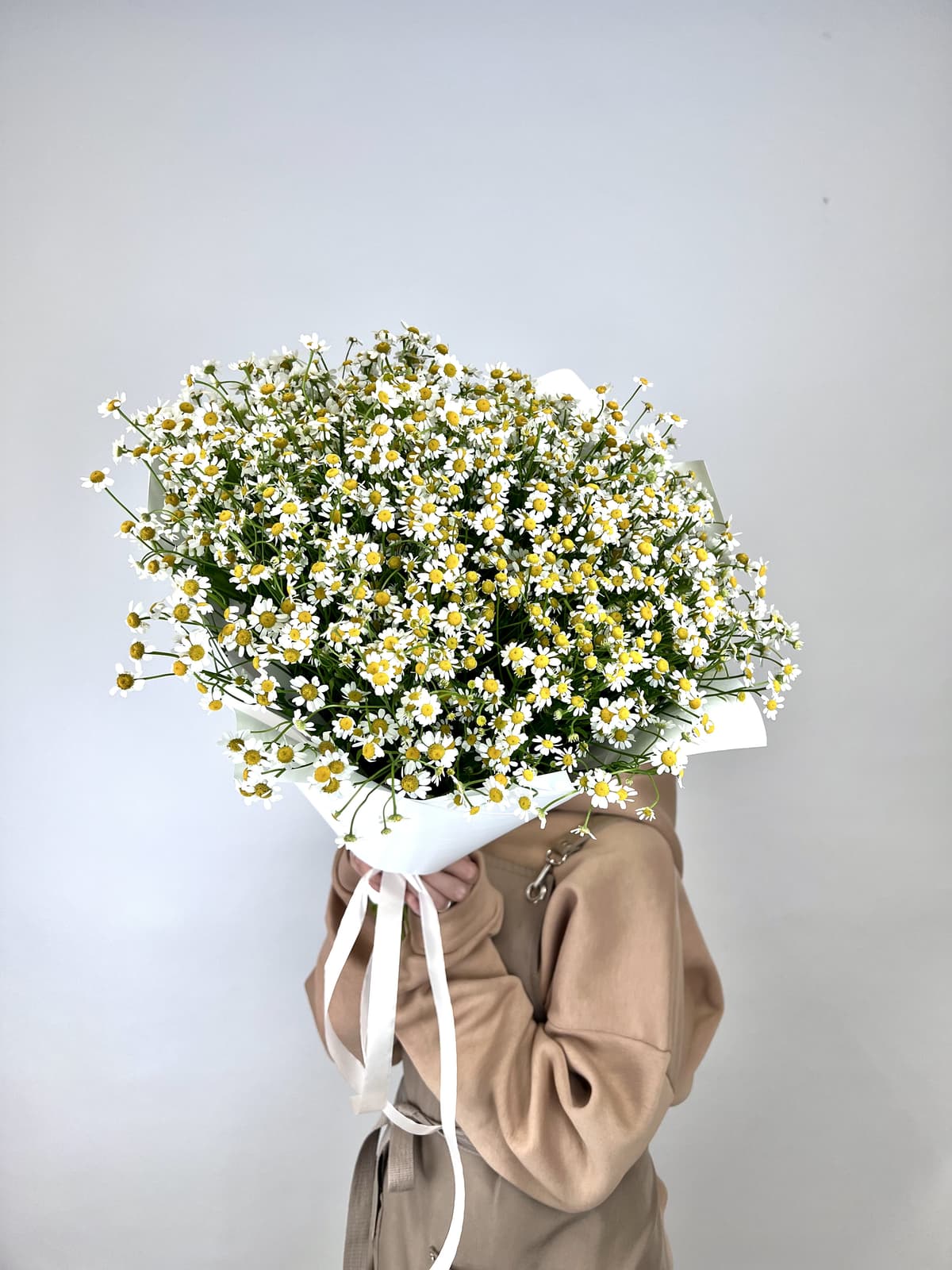 Оригинальный букет 51 Кустовая Ромашка в матовой бумаге