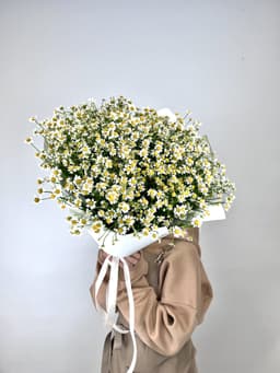 Оригинальный букет 51 Кустовая Ромашка в матовой бумаге