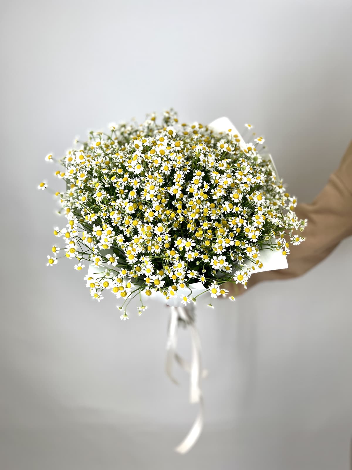 Оригинальный букет 51 Кустовая Ромашка в матовой бумаге