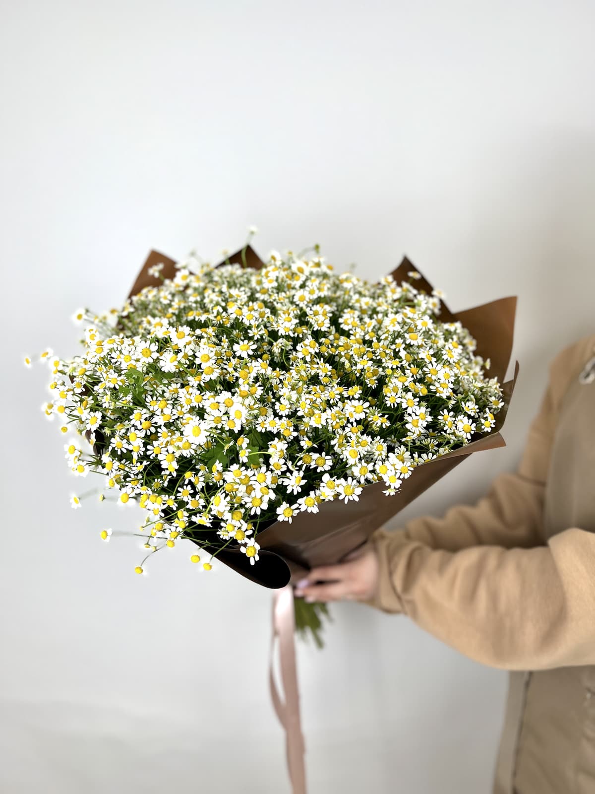 Букет 75 Кустовых Ромашек