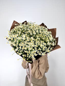 Шикарный букет 75 Кустовых Ромашек
