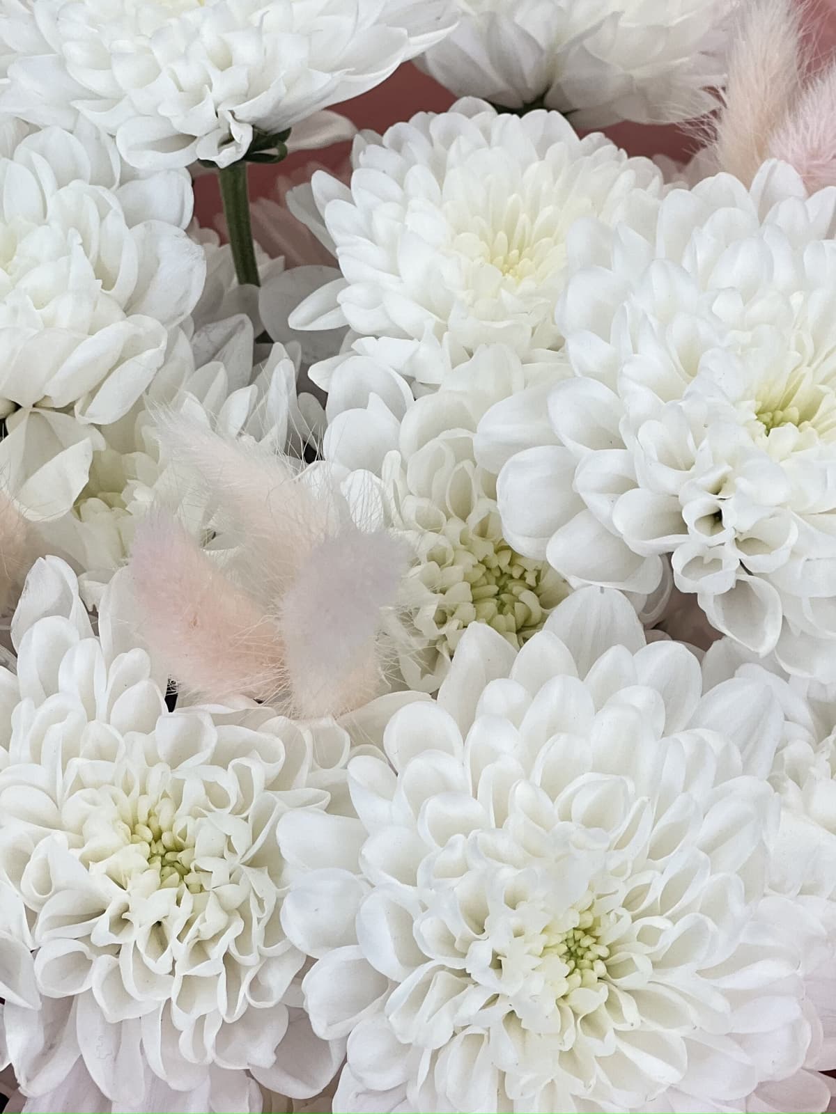 Букет "Алтай пинк"