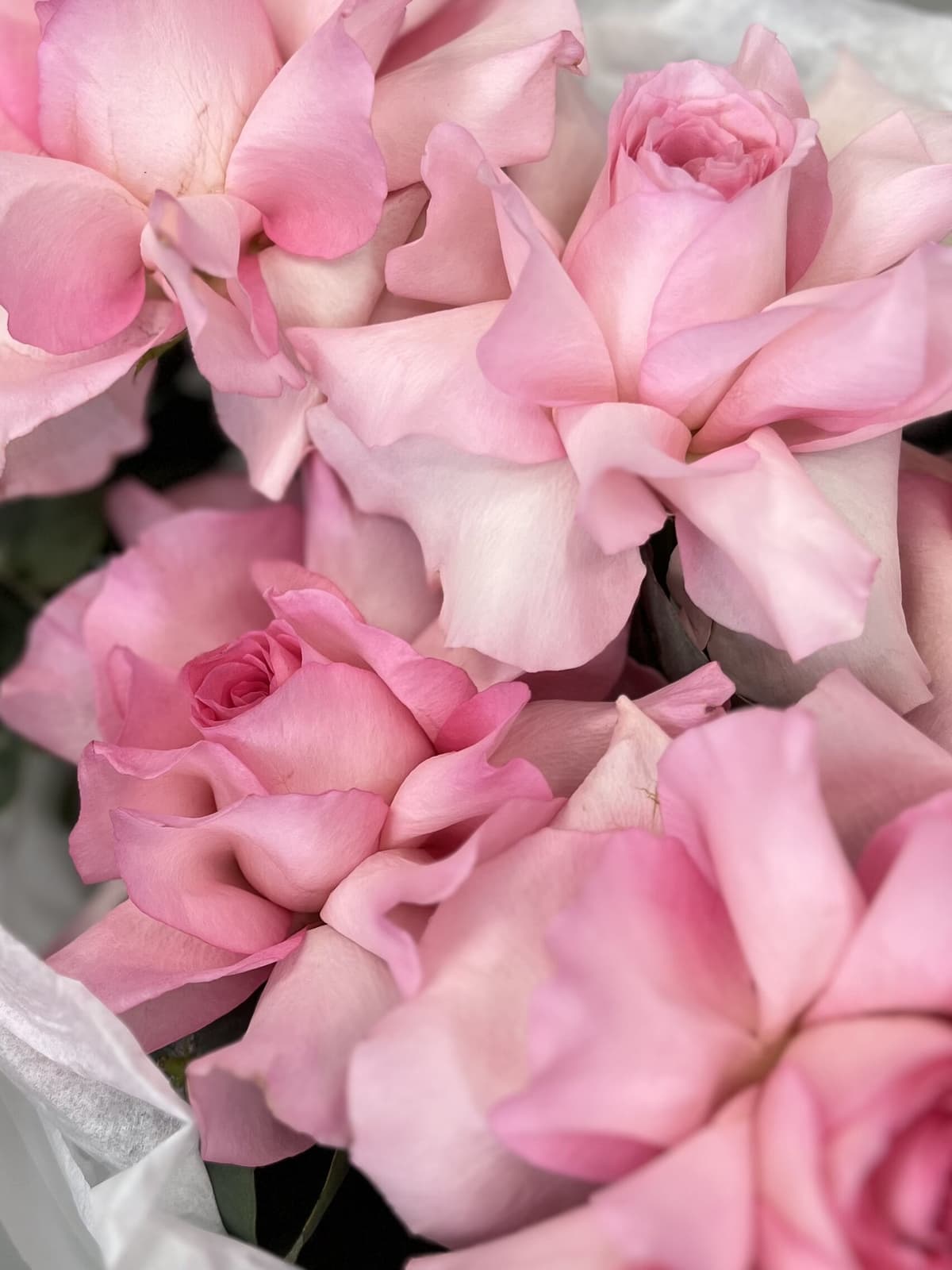 Цветочный букет "Амели" L