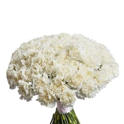 Праздничный букет из 101 белого диантуса