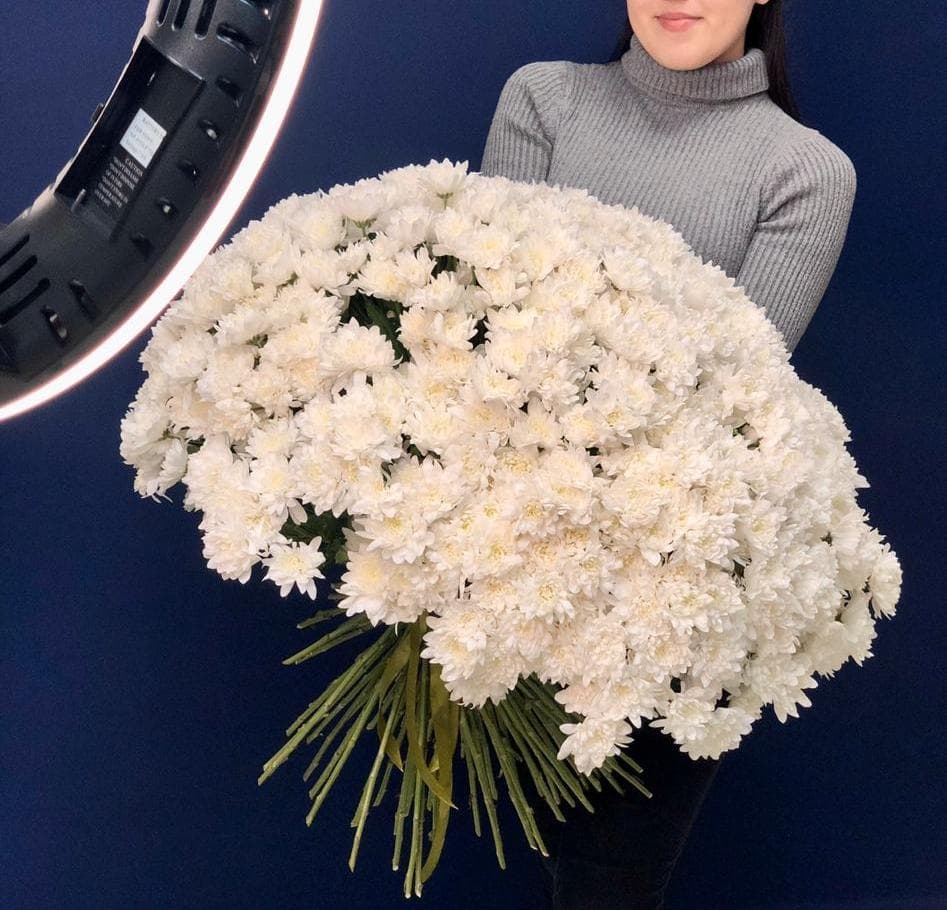 Праздничный букет из 101 кустовой хризантемы