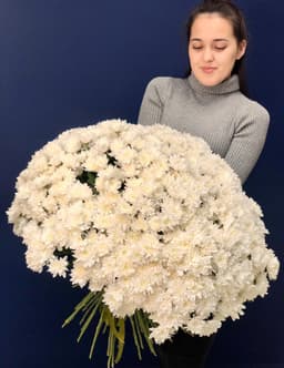 Праздничный букет из 101 кустовой хризантемы