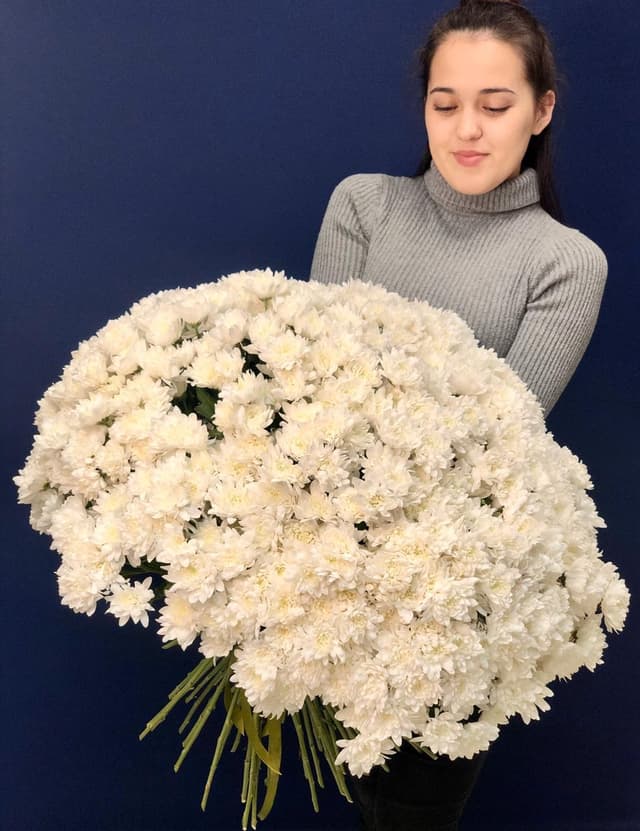 Праздничный букет из 101 кустовой хризантемы Праздничный букет из 101 кустовой хризантемы