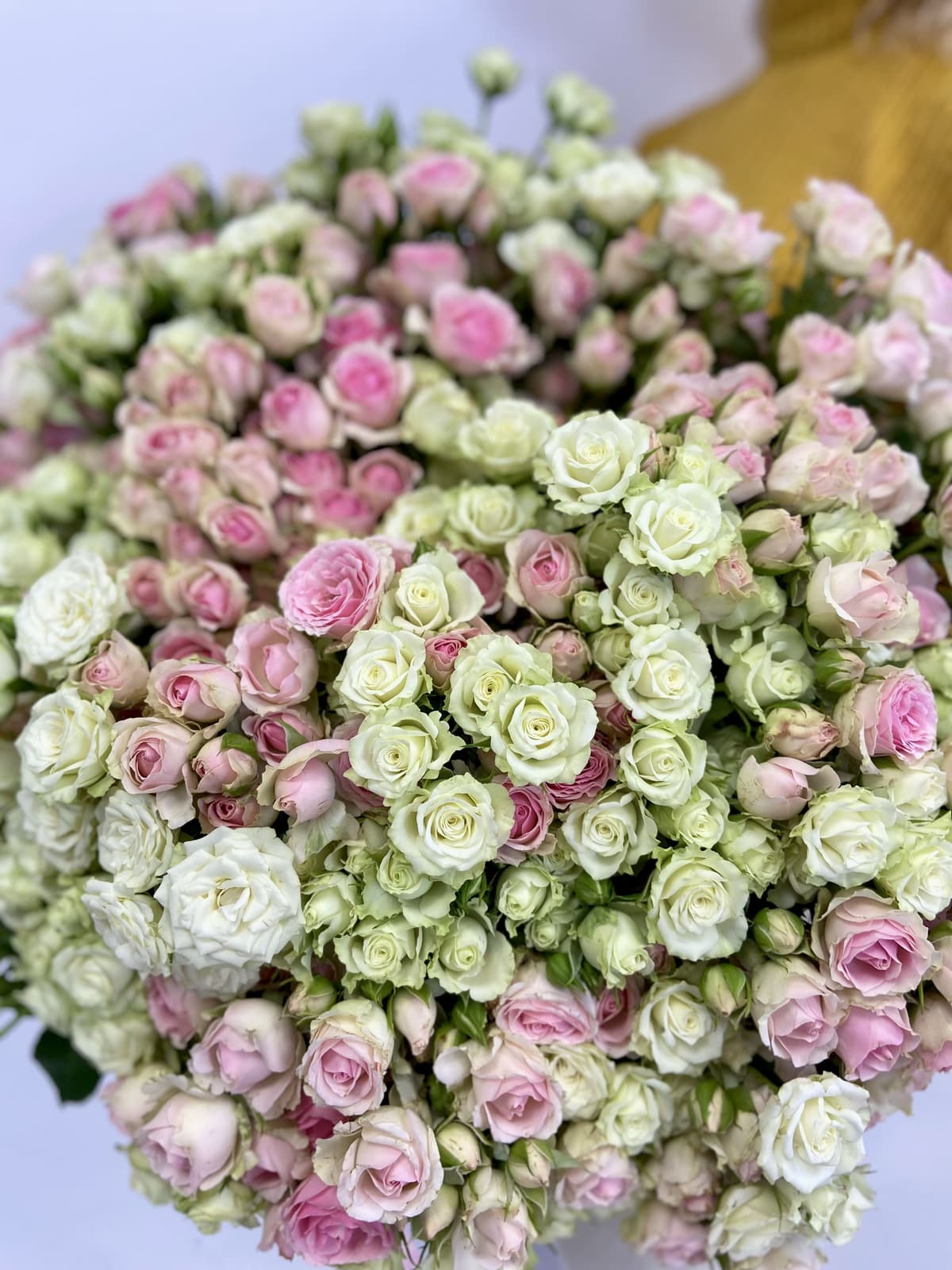 Букет из 101 кустовой розы