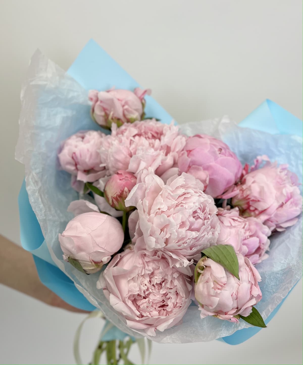 Праздничный букет из 11 Пионов Sara Bernard