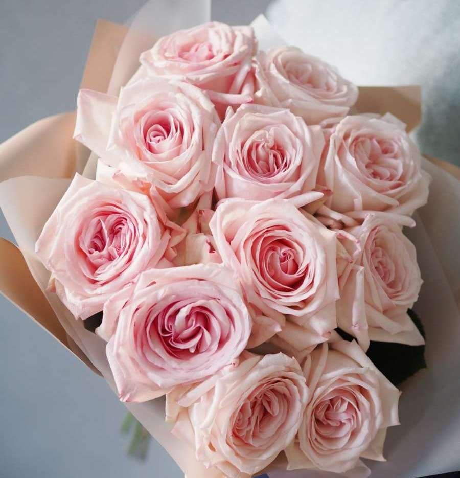 Букет из 11 Пионовидных Роз pink O’Hara