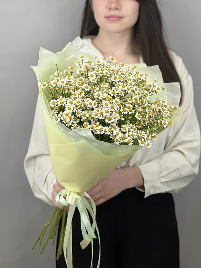 Свежий букет из 11 полевых ромашек Свежий букет из 11 полевых ромашек