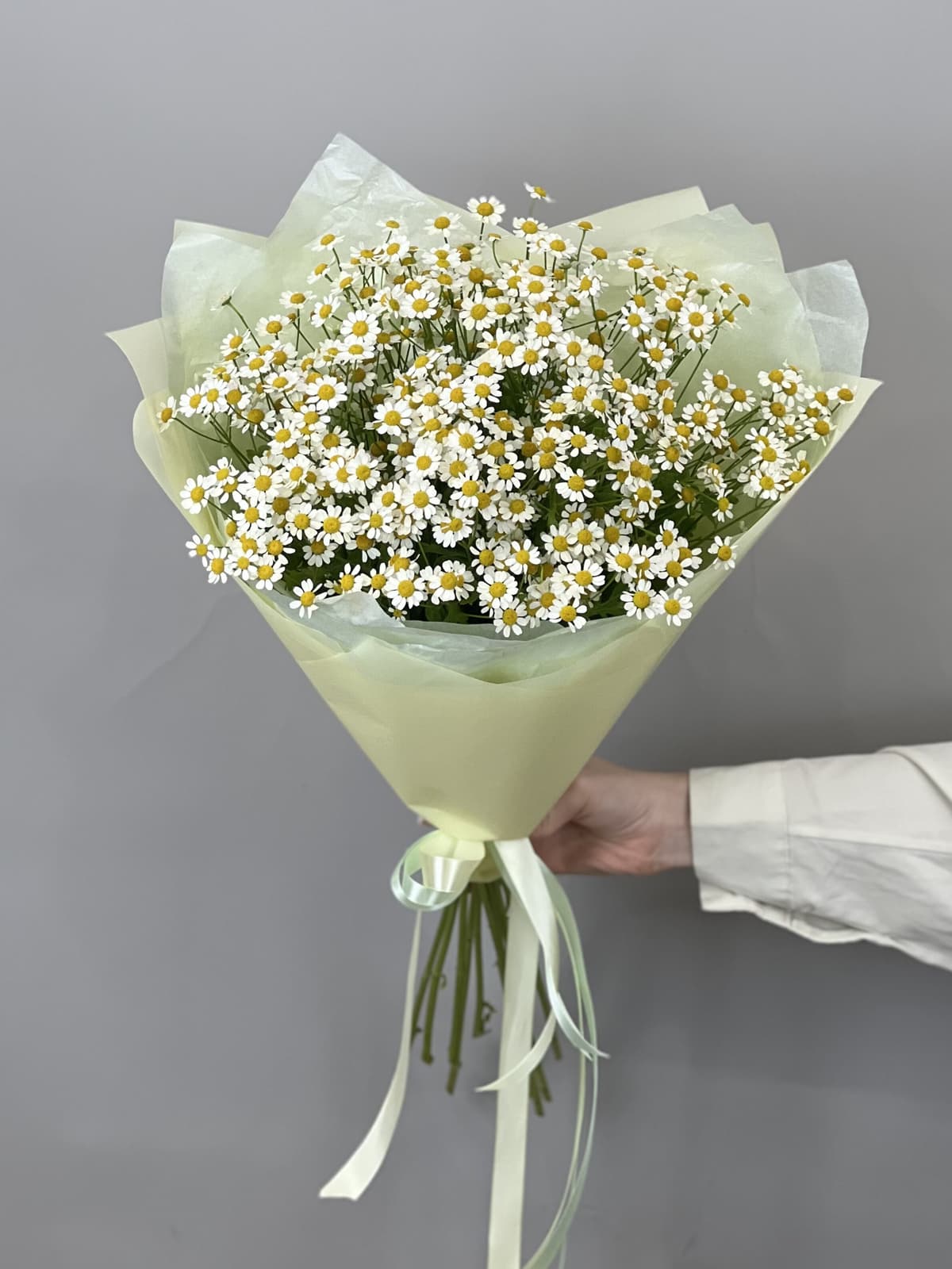 Свежий букет из 11 полевых ромашек