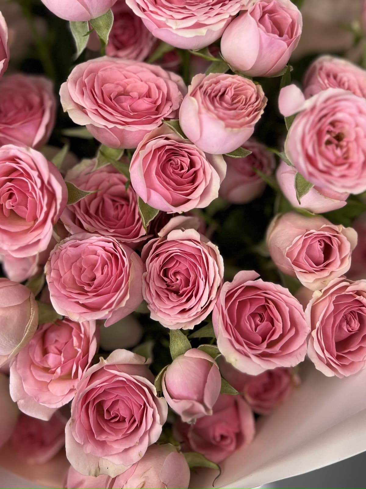 Дизайнерский букет из 11 розовых кустовых роз.