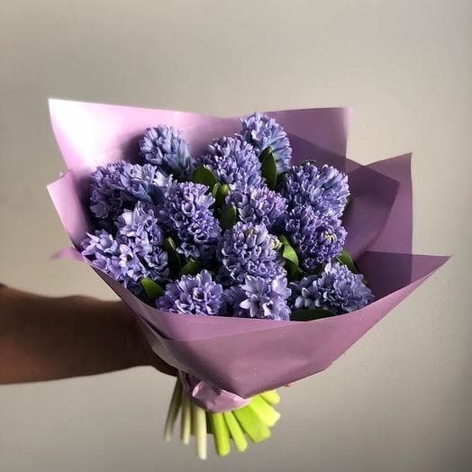 Букет из 13 Гиацинтов в матовой бумаге