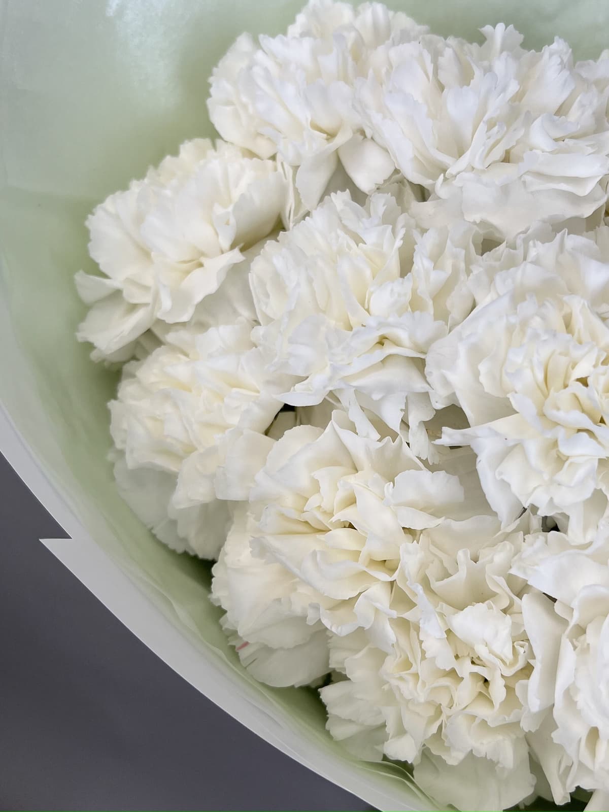 Букет из 15 белых диантусов Проспект