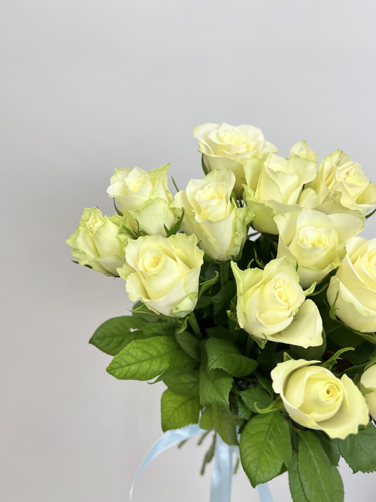 Букет из 15 белых роз стандарт 50 см