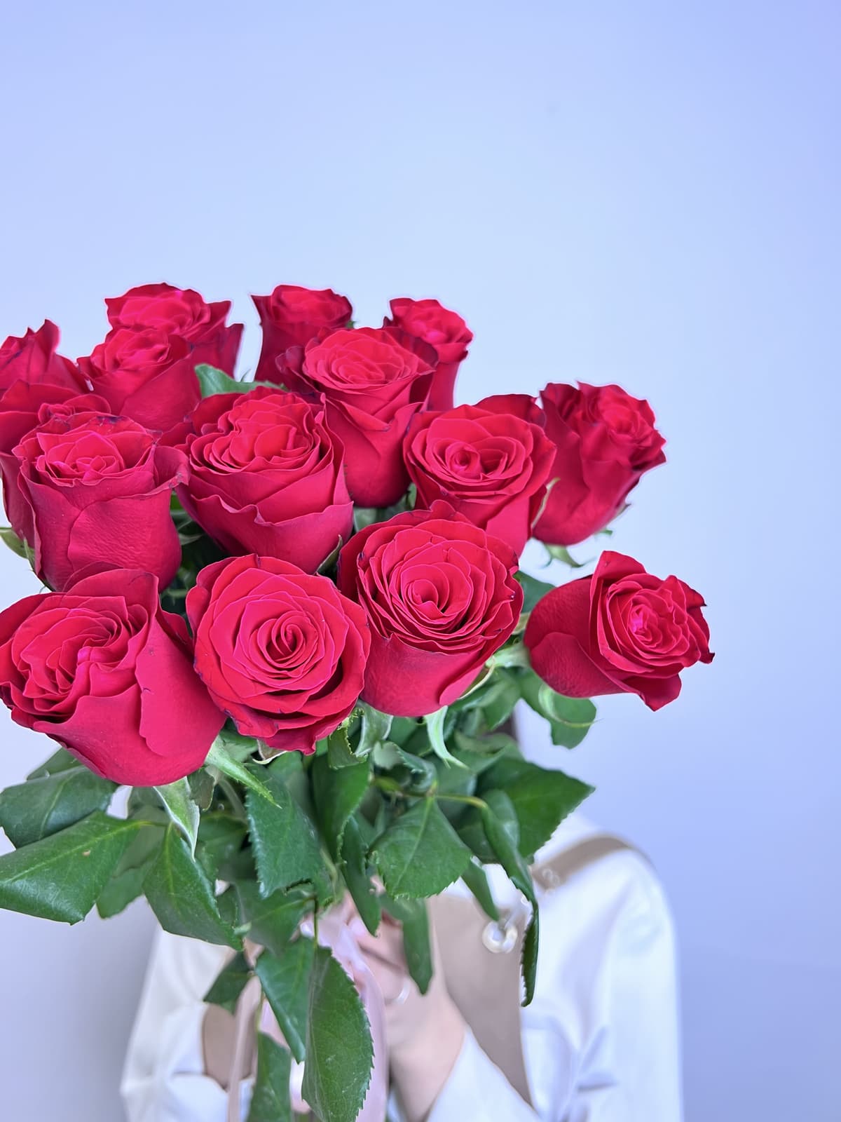 Нежный букет из 15 красных роз стандарт 50 см