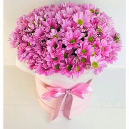 Букет из 15 кустовых хризантем в шляпной коробке (цвет на выбор из ассортимента)