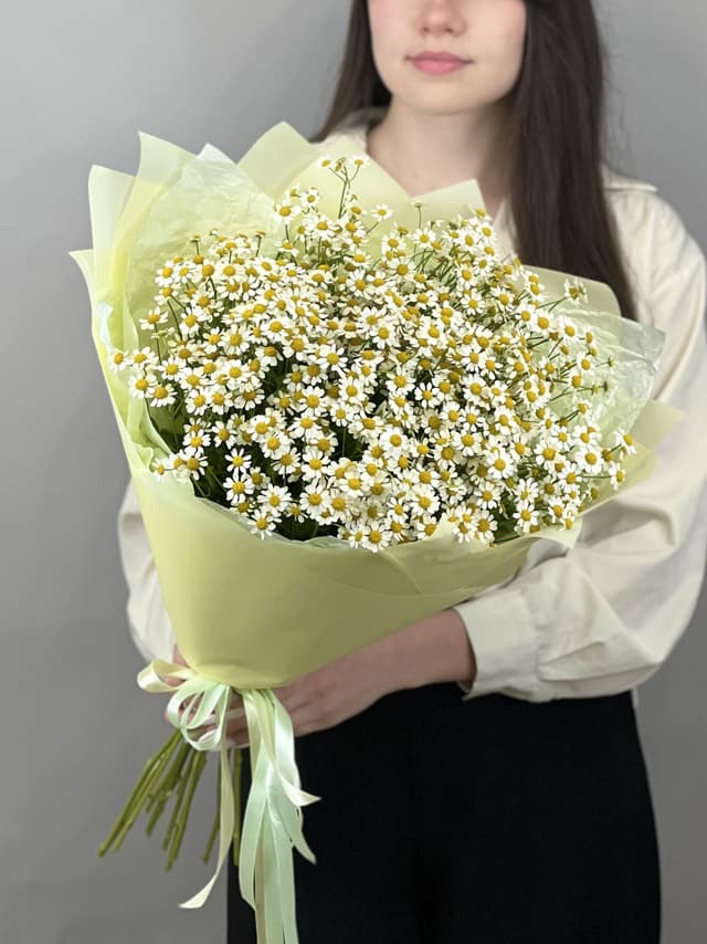 Нежный букет из 15 полевых ромашек Нежный букет из 15 полевых ромашек