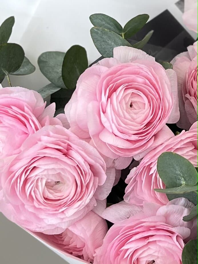 Букет из 15 ранункулюсов "Lady"