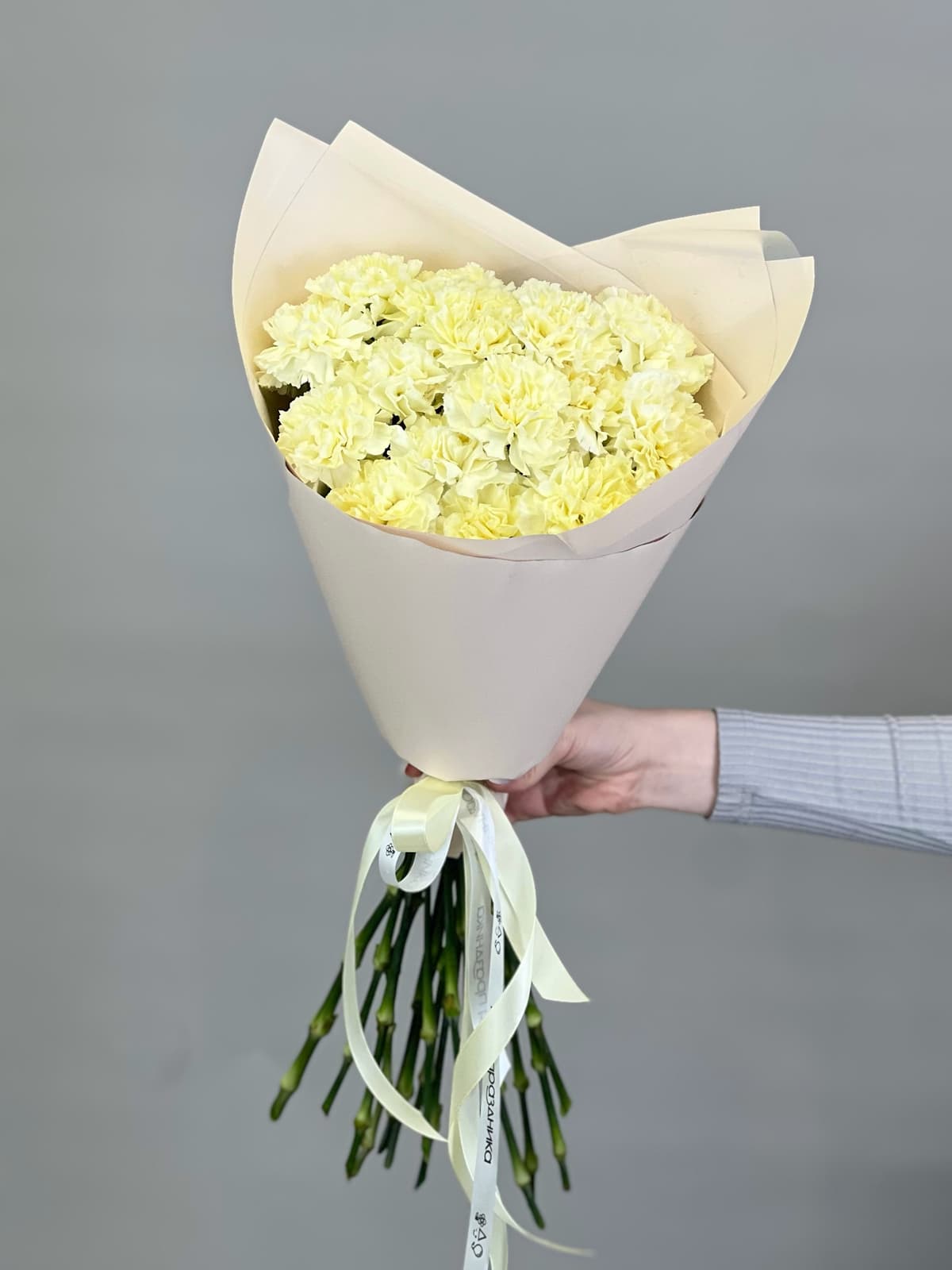 Праздничный букет из 15 сливочных диантусов